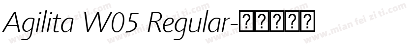 Agilita W05 Regular字体转换